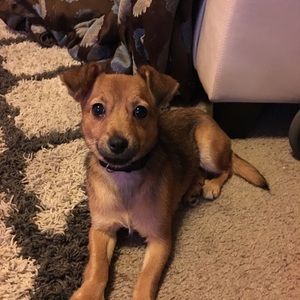 Meet your Posher, Jada